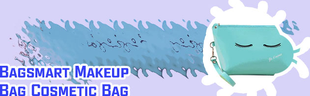 Ladies cosmetic bag