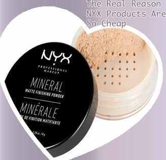 Nyx professional makeup price